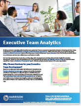 Executive Team Analysis